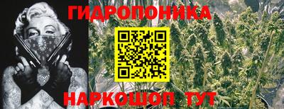 дурь Аша