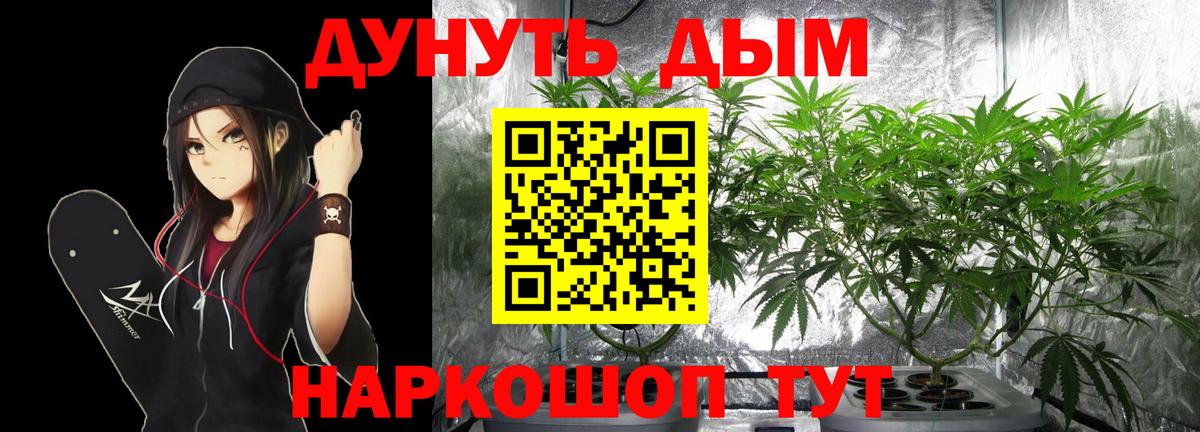 Бошки Шишки ГИДРОПОН  Канабис Amnesia  Красногорск  Вход с VPN 